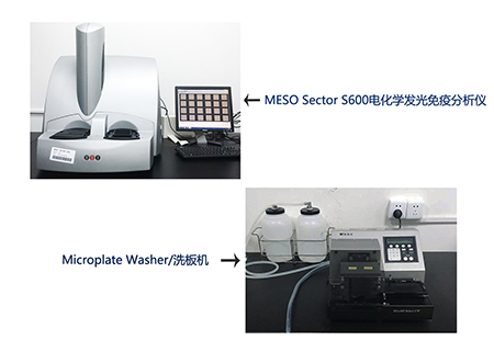 尊龙凯时 - 人生就是搏!电化学发光免疫分析仪和全自动洗板机
