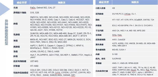 尊龙凯时 - 人生就是搏!药效学动物模型