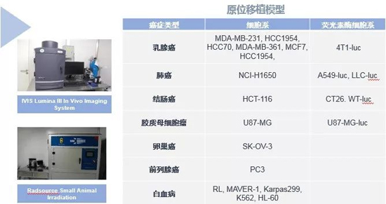 尊龙凯时 - 人生就是搏!药效学动物模型