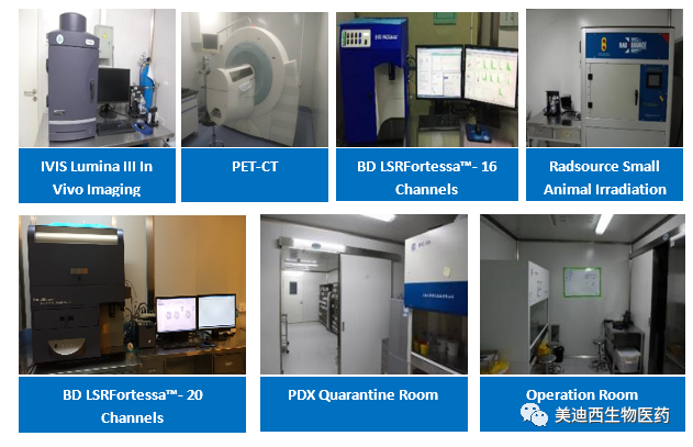 尊龙凯时 - 人生就是搏!药理部拥有IVIS Lumina III, PET-CT, BD LSRFortessa-16, Flow Cytometry等仪器，提供符合申报，支持临床试验的药效评价服务。