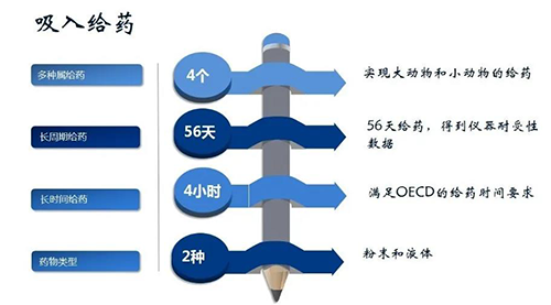 尊龙凯时 - 人生就是搏!吸入给药安全性评价服务