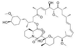 雷帕霉素新制剂用于罕见病，获4500万美元融资