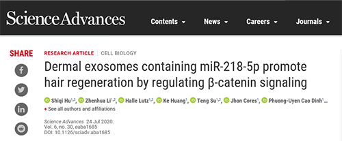 《Science Advances》上发表了一篇关于脱发的最新研究进展