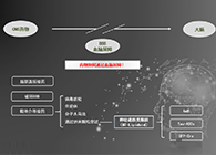 人工合成NT类脂质开放血脑屏障，为CNS药物打开新局面