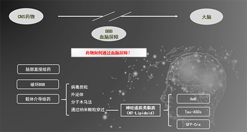 人工合成NT类脂质开放血脑屏障，为CNS药物打开新局面