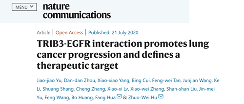 Nature|非小细胞肺癌治疗新方案：靶向降解EGFR