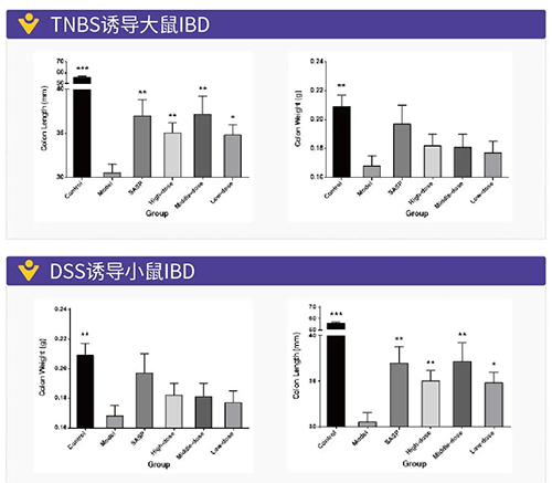 TNBS诱导的大鼠IBD、DSS诱导的大鼠IBD