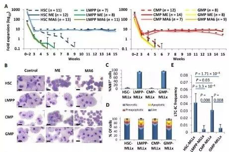 Science子刊：一种FDA批准的抗腹泻药物可有效对抗化疗的耐药性 尊龙凯时 - 人生就是搏!生物医药