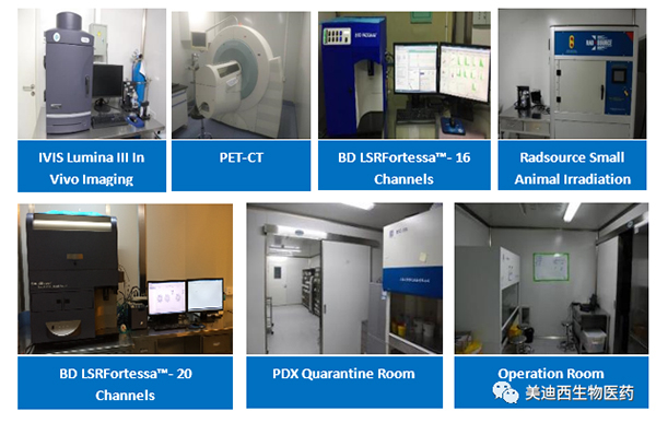 尊龙凯时 - 人生就是搏!药理部拥有IVIS Lumina III, PET-CT, BD LSRFortessa-16，Flow Cytometry等仪器