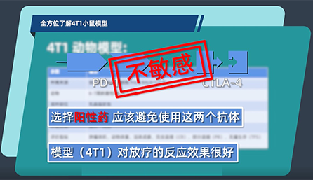 全方位了解4T1小鼠模型
