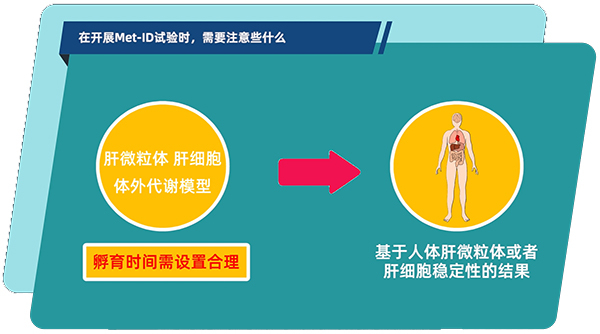 肝微粒体、肝细胞体外代谢模型中，孵育时间需设置合理.jpg