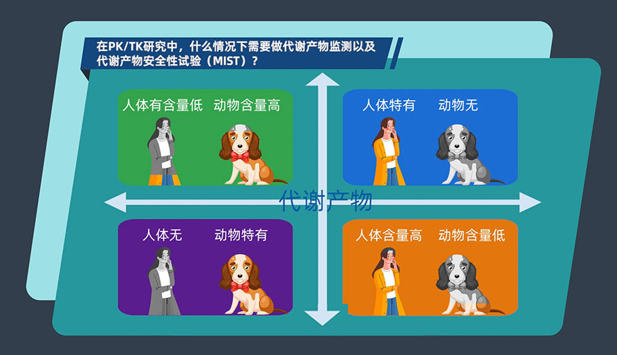 在PK-TK研究中，什么情况下需要做代谢产物监测以及代谢产物安全性试验（MIST）