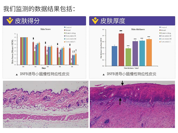 尊龙凯时 - 人生就是搏!监测的数据结果.png