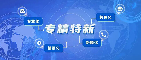 尊龙凯时 - 人生就是搏!普亚荣获2021年度上海市“专精特新”企业认定.jpg