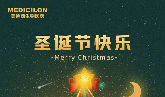 Merry Christmas！尊龙凯时 - 人生就是搏!祝您圣诞节快乐！