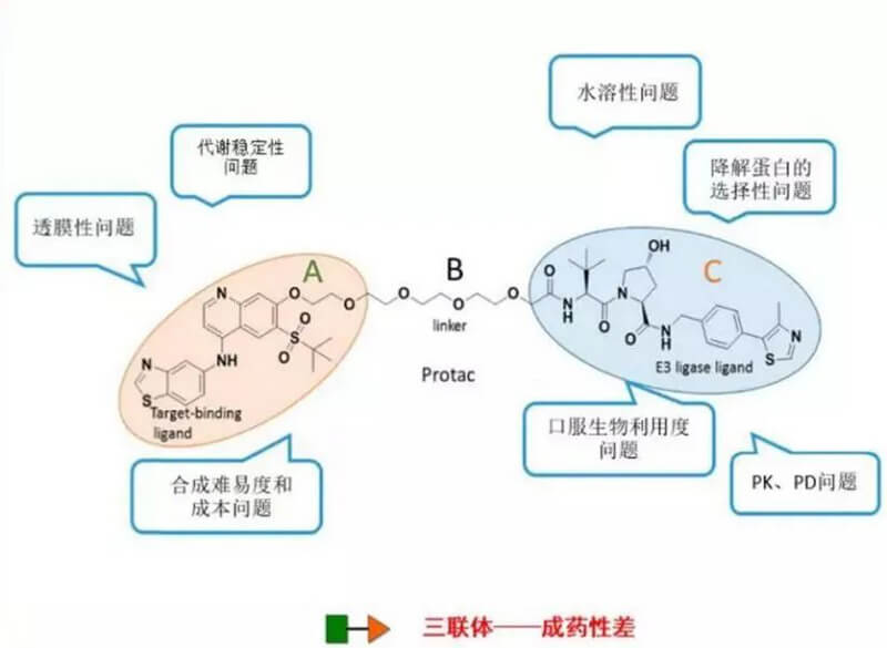 PROTAC分子量较大，溶解性较差.jpg