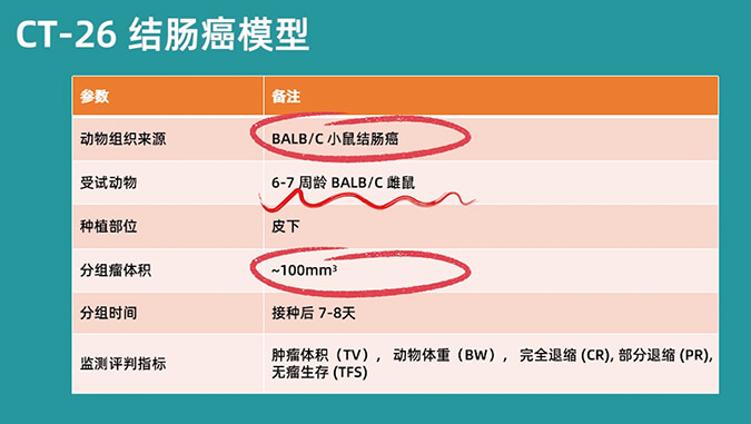 全方位了解CT-26结肠癌模型.jpg