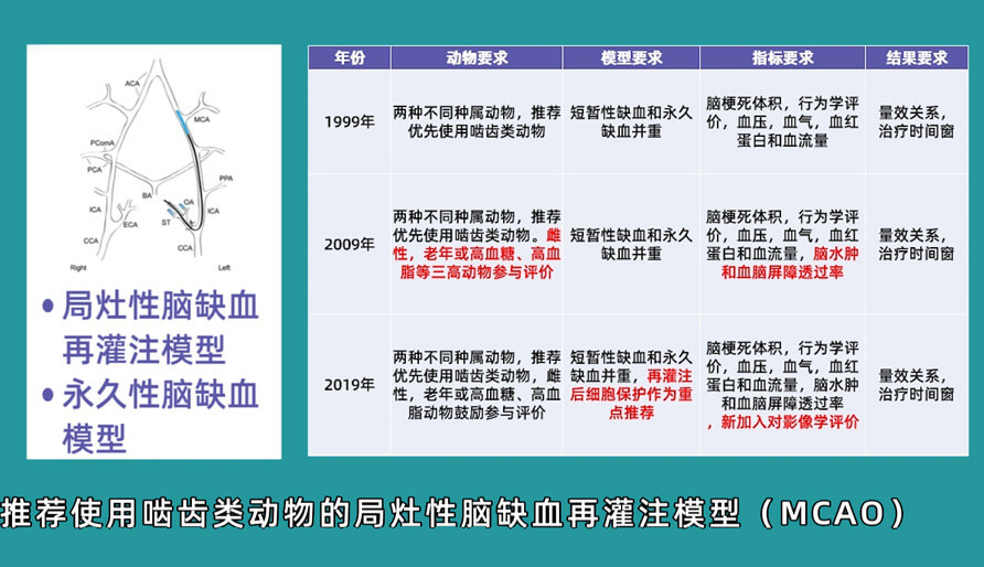 袁云云博士：啮齿类动物脑卒中疾病药效成药性评价系统（2）.jpg