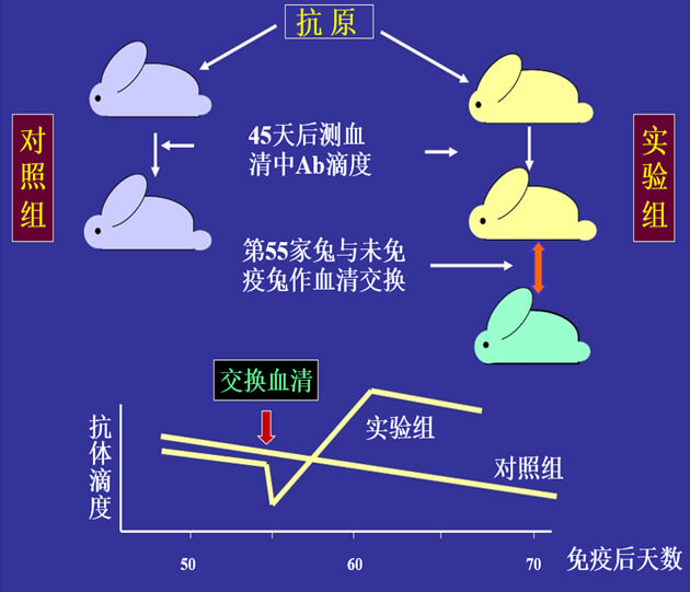 Figure-1：机体对抗体浓度变化的感知与反馈性自我调节.jpg