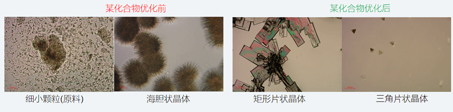 05案例分享-单晶培养，改变晶习.png