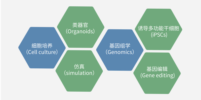 六大技术板块已上线，持续升级中.jpg