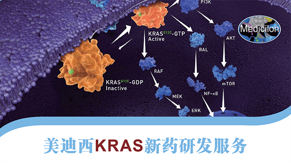 KRAS新药研发服务