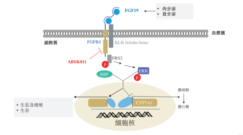 图源：公开资料.jpg