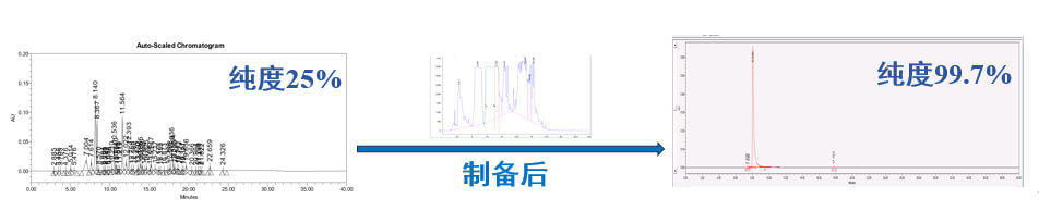 案例一：仿制药发补：大极性杂质制备.jpg