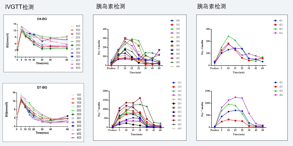 案例4：食蟹猴IVGTT和胰岛素检测实验.jpg